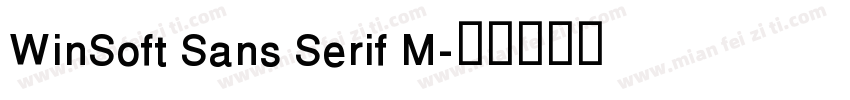 WinSoft Sans Serif M字体转换